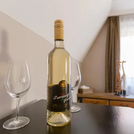 بيت ضيافة Aurora Vendeghaz 4*