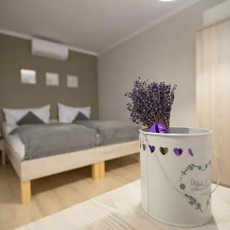 Aurora Vendeghaz بيت ضيافة 4*