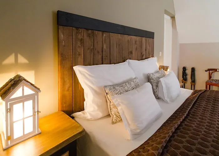 Guest house Aurora Vendeghaz 4*