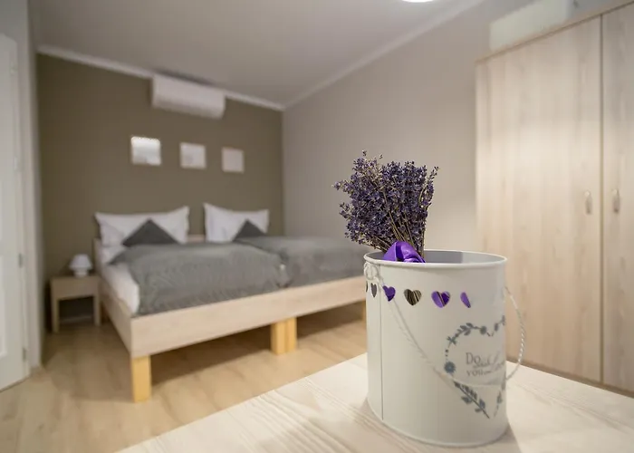 Aurora Vendeghaz Guest house 4*